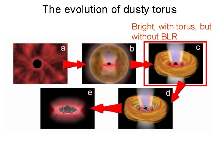 The evolution of dusty torus Bright, with torus, but without BLR 