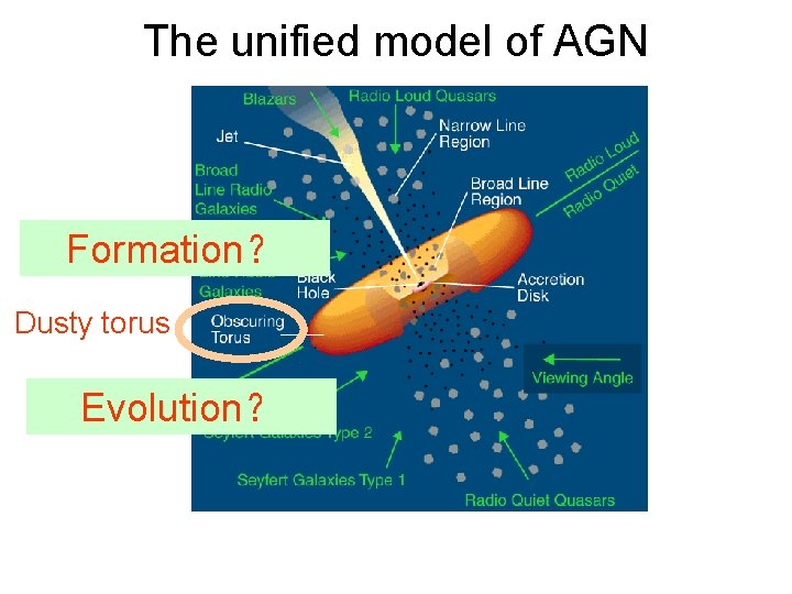 The unified model of AGN Formation？ Dusty torus Evolution？ 