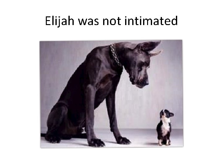 Elijah was not intimated 