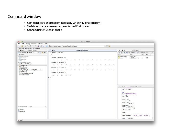Command window • Commands are executed immediately when you press Return • Variables that