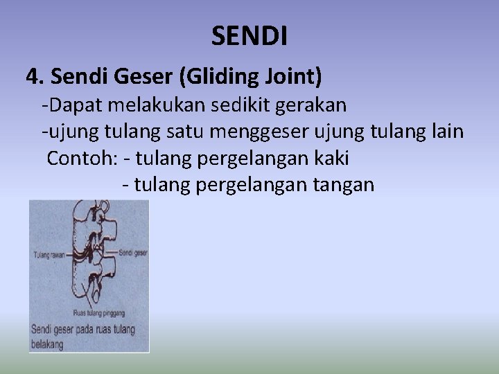 SENDI 4. Sendi Geser (Gliding Joint) -Dapat melakukan sedikit gerakan -ujung tulang satu menggeser