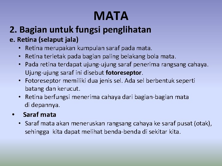 MATA 2. Bagian untuk fungsi penglihatan e. Retina (selaput jala) • Retina merupakan kumpulan