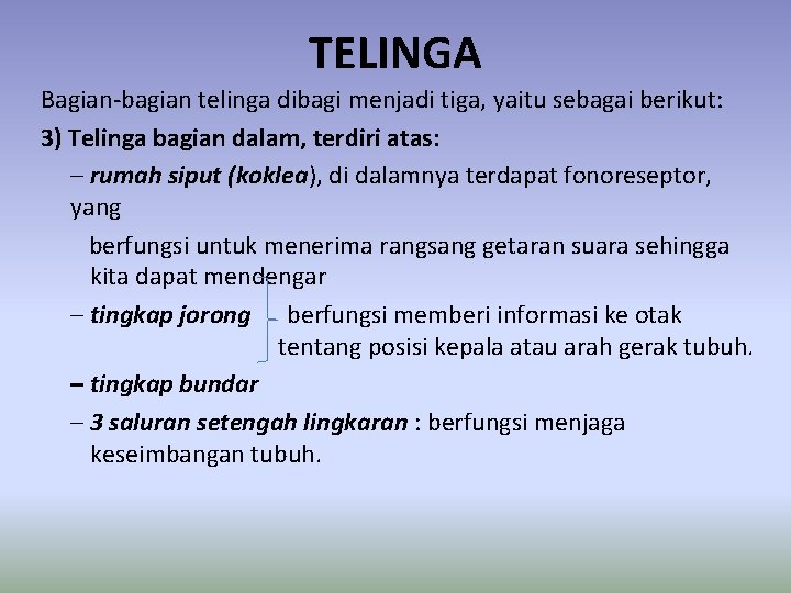 TELINGA Bagian-bagian telinga dibagi menjadi tiga, yaitu sebagai berikut: 3) Telinga bagian dalam, terdiri