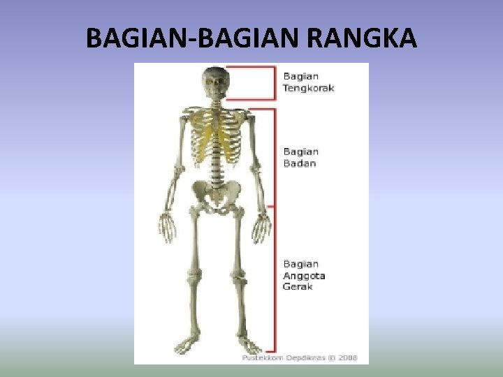 BAGIAN-BAGIAN RANGKA 