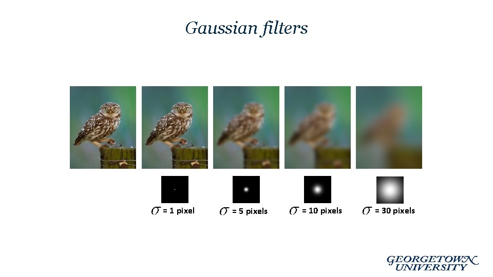 Gaussian filters = 1 pixel = 5 pixels = 10 pixels = 30 pixels