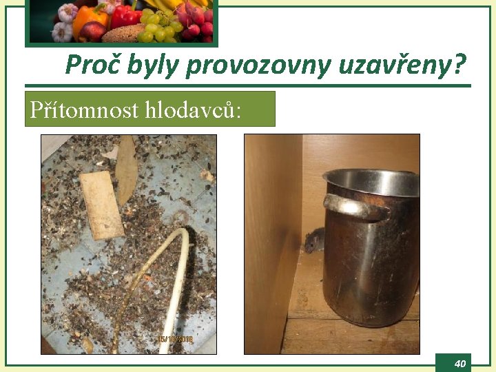 Proč byly provozovny uzavřeny? Přítomnost hlodavců: 40 