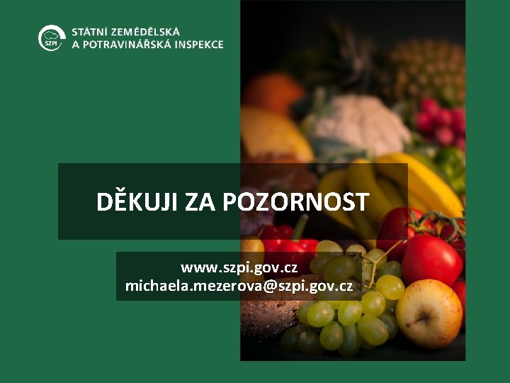 DĚKUJI ZA POZORNOST www. szpi. gov. cz michaela. mezerova@szpi. gov. cz 