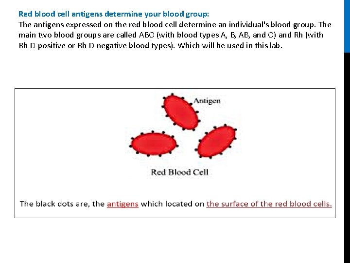 Red blood cell antigens determine your blood group: The antigens expressed on the red