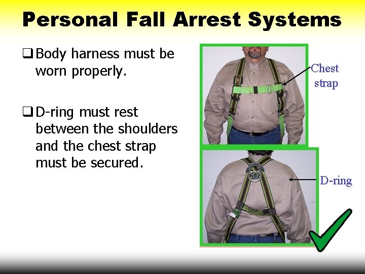 Personal Fall Arrest Systems q Body harness must be worn properly. Chest strap q