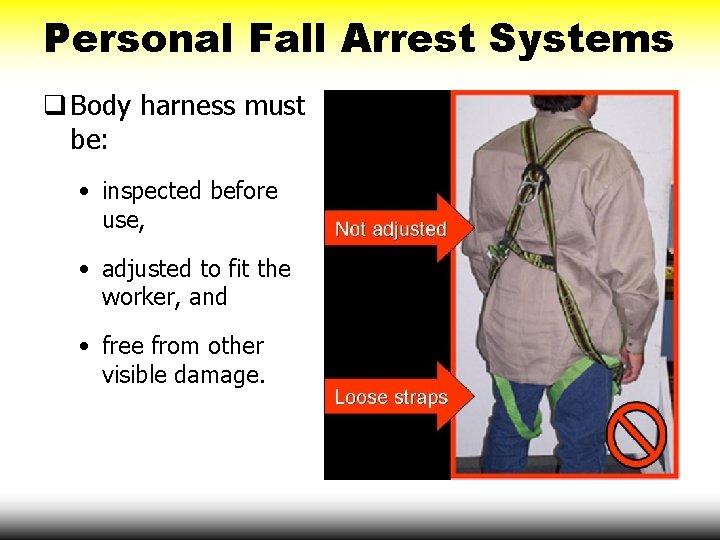 Personal Fall Arrest Systems q Body harness must be: • inspected before use, •