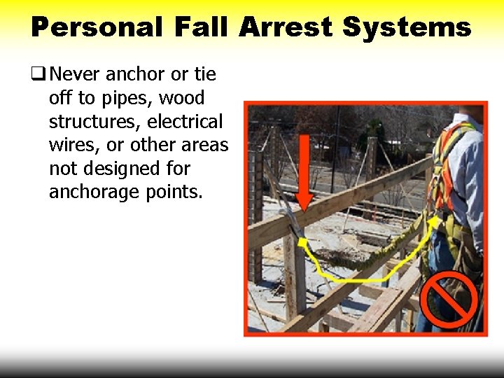 Personal Fall Arrest Systems q Never anchor or tie off to pipes, wood structures,