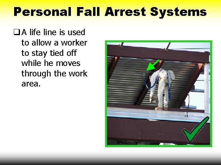 Personal Fall Arrest Systems q A life line is used to allow a worker