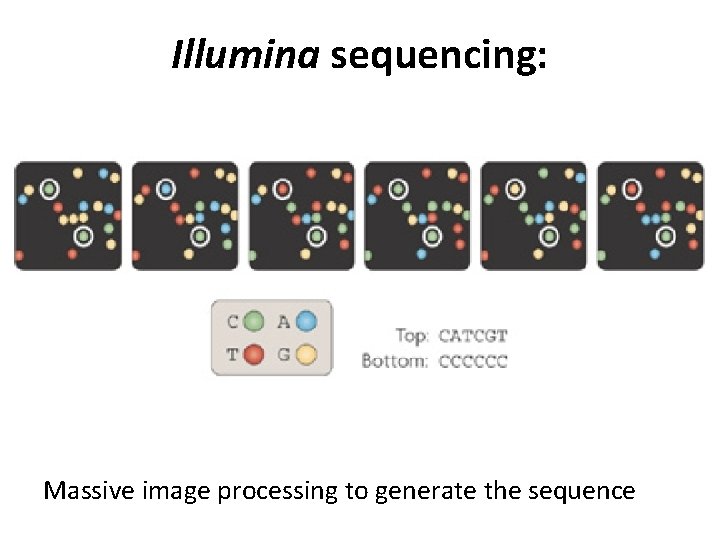 Illumina sequencing: Massive image processing to generate the sequence 