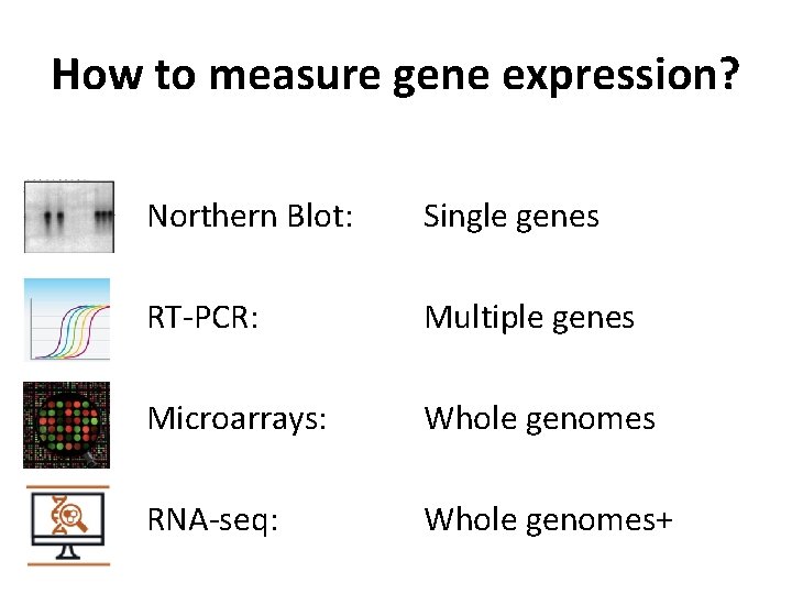 How to measure gene expression? Northern Blot: Single genes RT-PCR: Multiple genes Microarrays: Whole