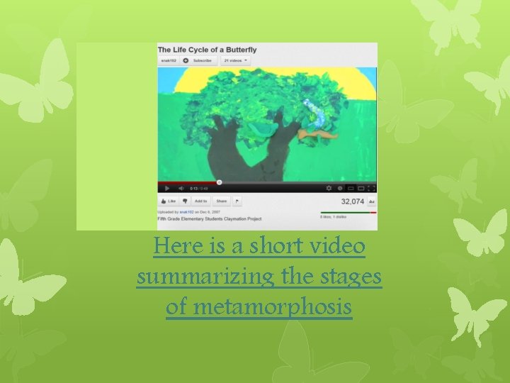 Here is a short video summarizing the stages of metamorphosis 