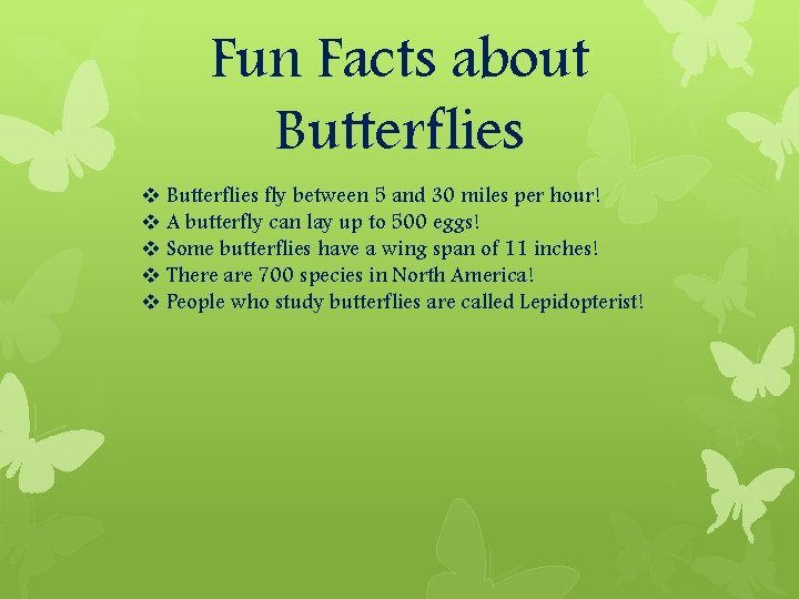 Fun Facts about Butterflies v Butterflies fly between 5 and 30 miles per hour!