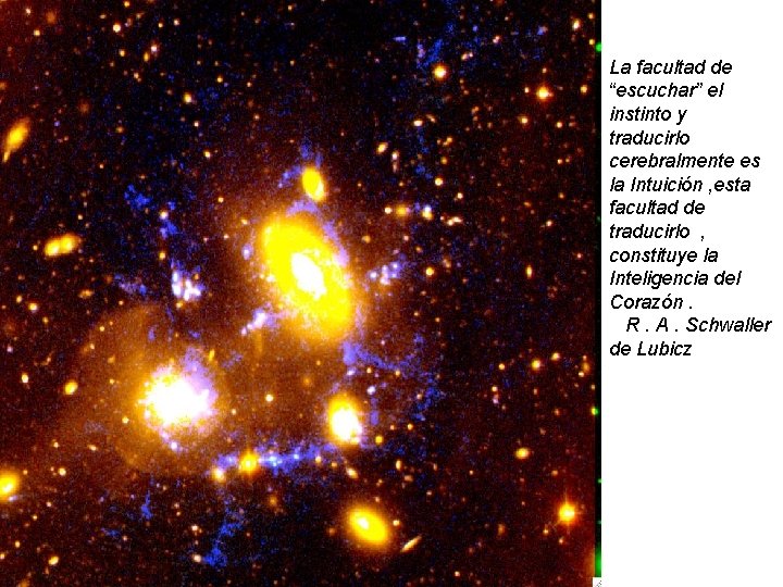 La facultad de “escuchar” el instinto y traducirlo cerebralmente es la Intuición , esta