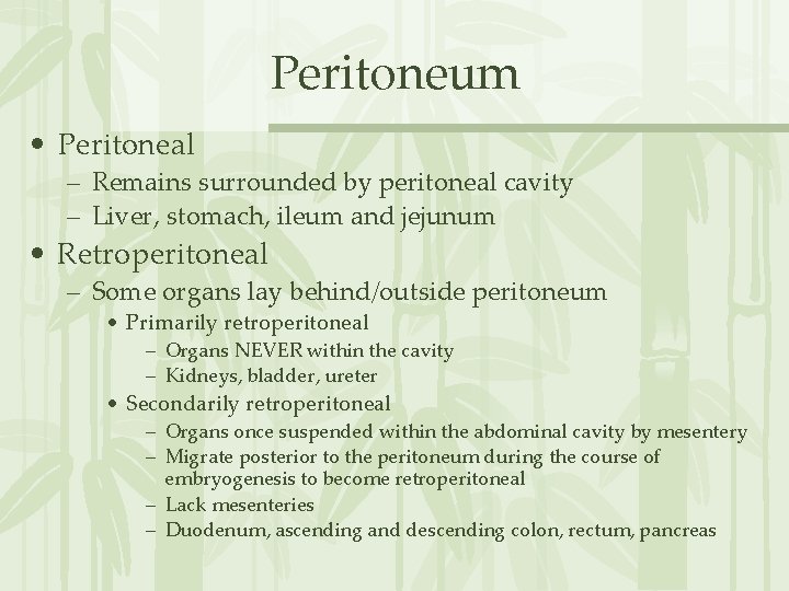 Peritoneum • Peritoneal – Remains surrounded by peritoneal cavity – Liver, stomach, ileum and