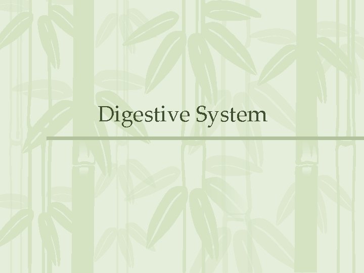 Digestive System 