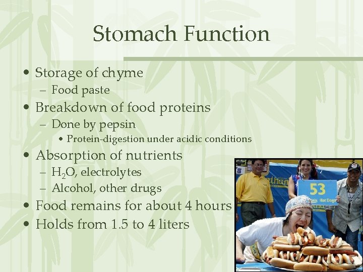 Stomach Function • Storage of chyme – Food paste • Breakdown of food proteins