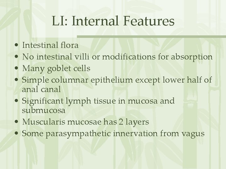 LI: Internal Features • • Intestinal flora No intestinal villi or modifications for absorption