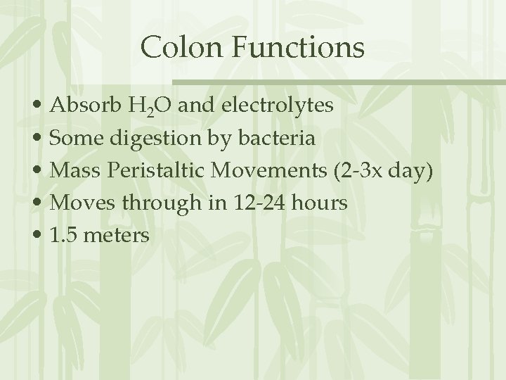 Colon Functions • Absorb H 2 O and electrolytes • Some digestion by bacteria