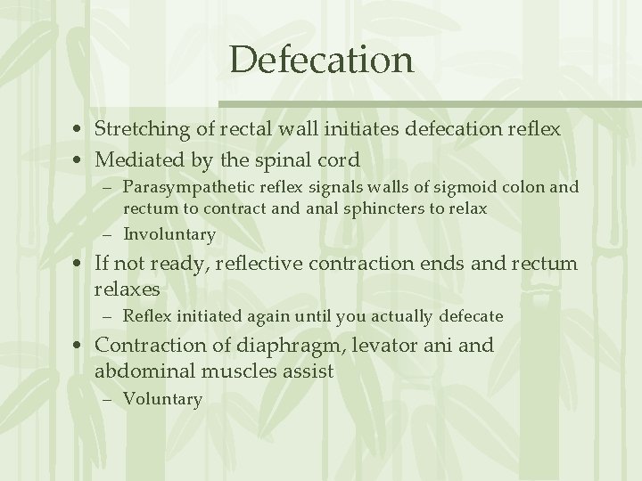 Defecation • Stretching of rectal wall initiates defecation reflex • Mediated by the spinal