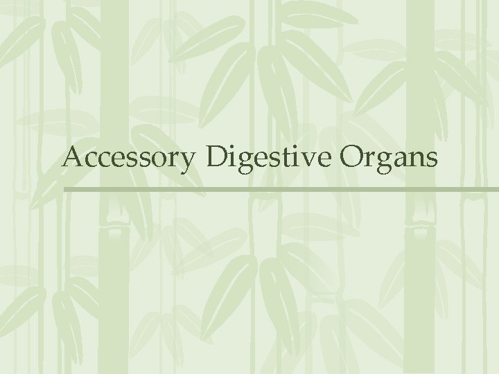 Accessory Digestive Organs 