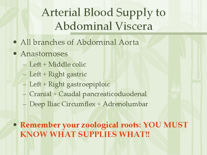 Arterial Blood Supply to Abdominal Viscera • All branches of Abdominal Aorta • Anastomoses