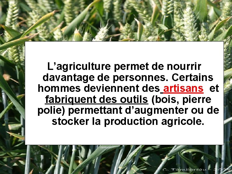 L’agriculture permet de nourrir davantage de personnes. Certains hommes deviennent des artisans et fabriquent