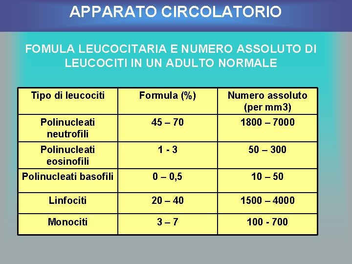APPARATO CIRCOLATORIO FOMULA LEUCOCITARIA E NUMERO ASSOLUTO DI LEUCOCITI IN UN ADULTO NORMALE Tipo