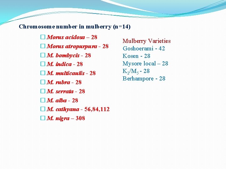 Chromosome number in mulberry (n=14) � Morus acidosa – 28 � Morus atropurpura -