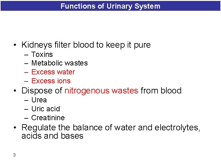 Functions of Urinary System • Kidneys filter blood to keep it pure – –