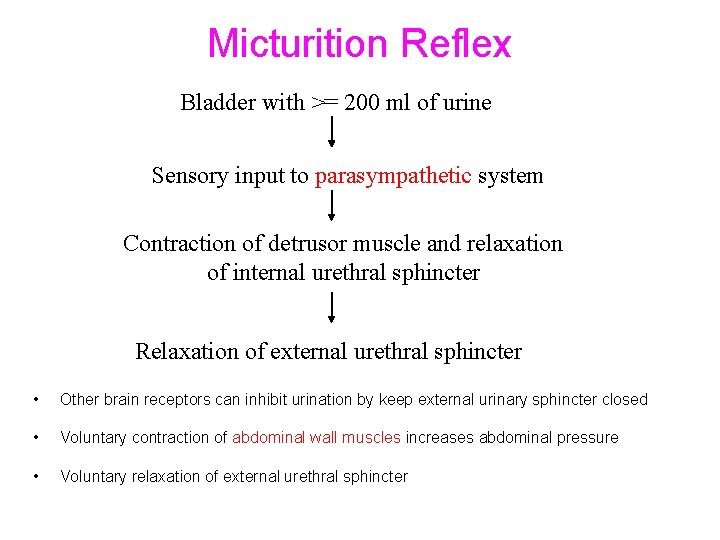 Micturition Reflex Bladder with >= 200 ml of urine Sensory input to parasympathetic system
