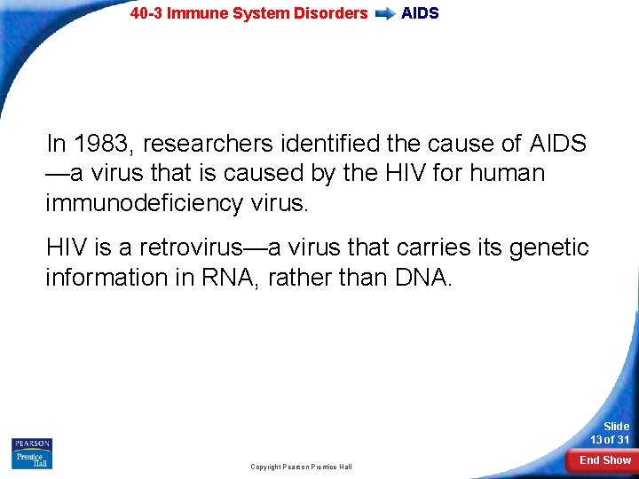 40 -3 Immune System Disorders AIDS In 1983, researchers identified the cause of AIDS