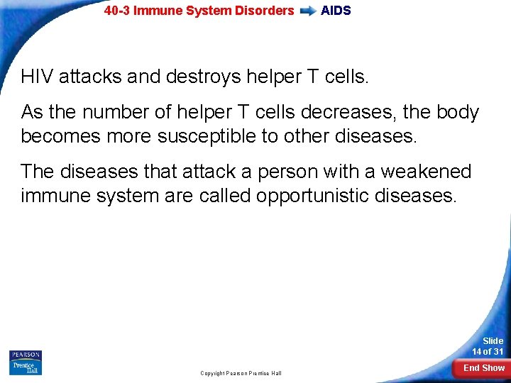 40 -3 Immune System Disorders AIDS HIV attacks and destroys helper T cells. As