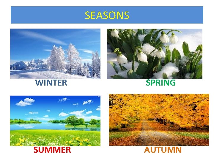 SEASONS WINTER SPRING SUMMER AUTUMN 