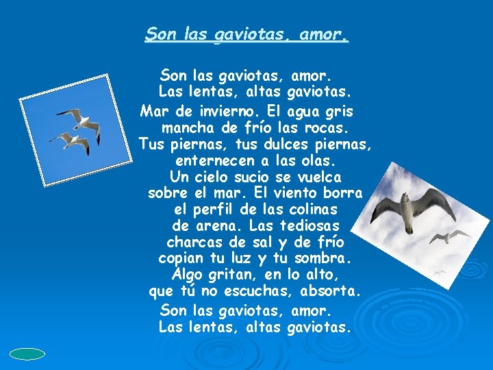 Son las gaviotas, amor. Las lentas, altas gaviotas. Mar de invierno. El agua gris Son las gaviotas, amor. Las lentas, altas gaviotas. Mar de invierno. El agua gris