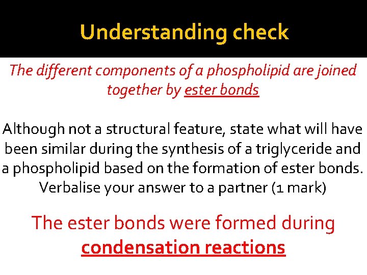 Understanding check The different components of a phospholipid are joined together by ester bonds