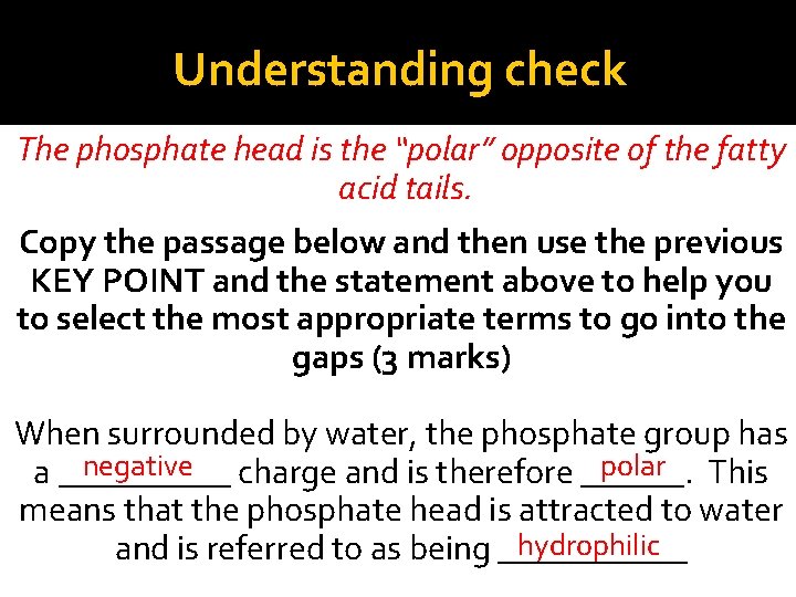 Understanding check The phosphate head is the “polar” opposite of the fatty acid tails.