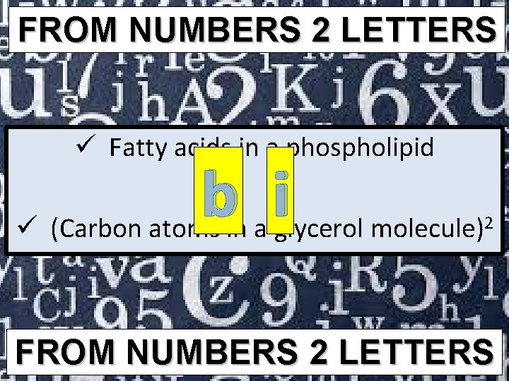FROM NUMBERS 2 LETTERS ü Fatty acids in a phospholipid i b ü (Carbon