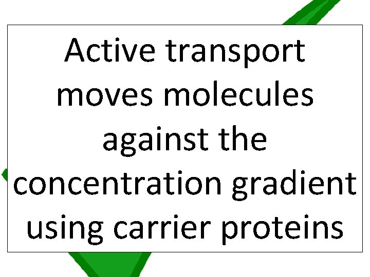 Active transport moves molecules against the concentration gradient using carrier proteins 