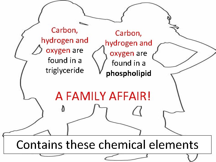 Carbon, hydrogen and oxygen are found in a triglyceride Carbon, hydrogen and oxygen are