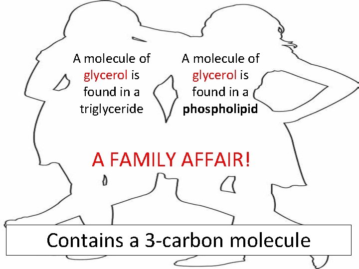 A molecule of glycerol is found in a triglyceride A molecule of glycerol is