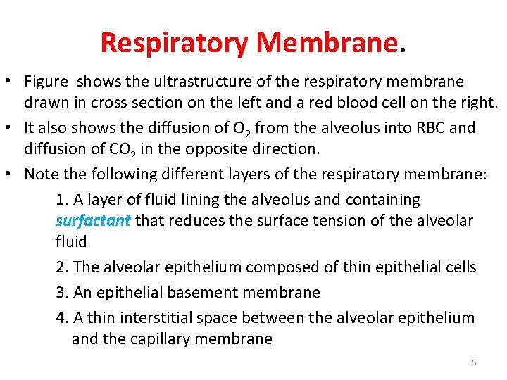 Respiratory Membrane. • Figure shows the ultrastructure of the respiratory membrane drawn in cross