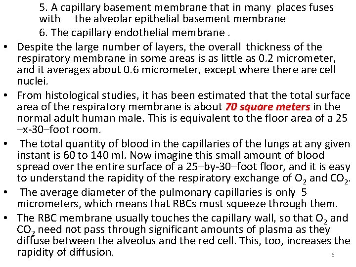  • • • 5. A capillary basement membrane that in many places fuses