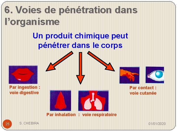 6. Voies de pénétration dans l’organisme Un produit chimique peut pénétrer dans le corps