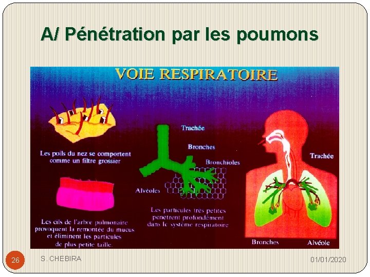 A/ Pénétration par les poumons 26 S. CHEBIRA 01/01/2020 