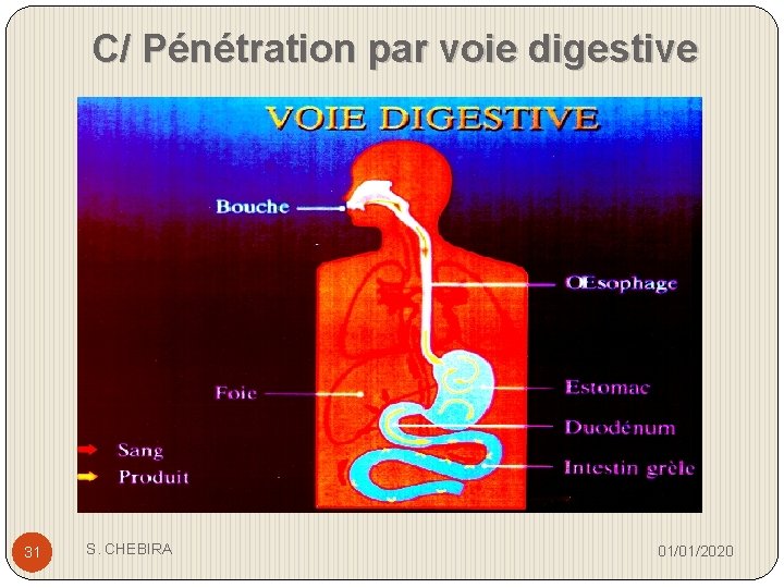 C/ Pénétration par voie digestive 31 S. CHEBIRA 01/01/2020 