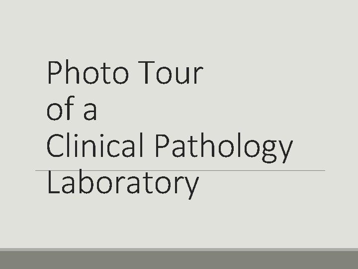 Photo Tour of a Clinical Pathology Laboratory 